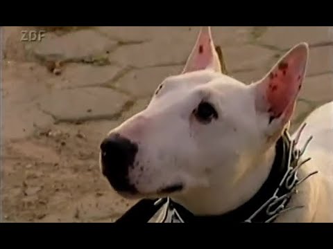 Olli Dittrich als "Mike Hansen": Schuldenrückzahlung!