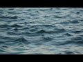 El Perro Del Mar - To Give Love