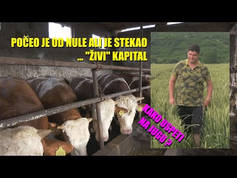 TOV JUNAD NA JUGU - počeo sa kapitala 0 i evo ŠTA JE NAPRAVIO - zašto je JUG SRBIJE zapostavljen