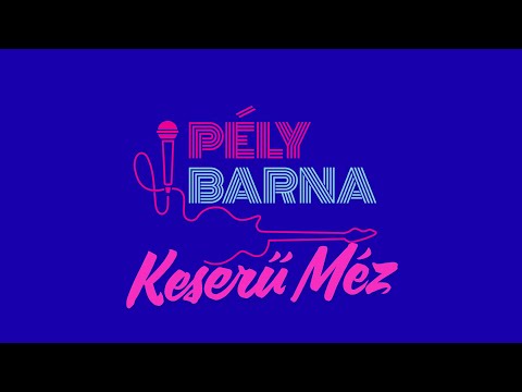 PÉLY BARNA  - KESERŰ MÉZ (SZÖVEGVIDEÓ) 