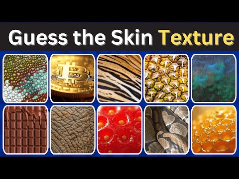 Guess the Animal & Fruit by their Unique Skin Texture