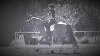 How to TURN your Dressage Horse!