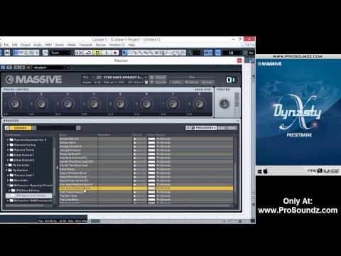 Free Download Dynasty X for Ni MASSiVE