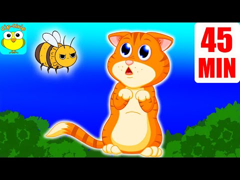 Albinuta si pisicuta vor sa fie prieteni - Cantece pentru copii (desene animate) | Cip-Cirip