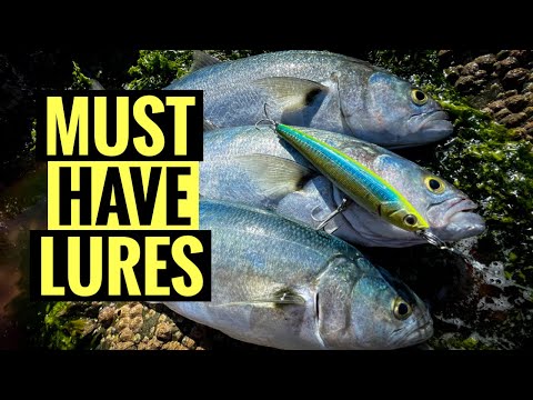 BEST 5 Tailor Lures For Beginners￼