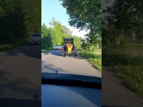 Ułańska fantazja Polaków