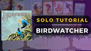 Birdwatcher video thumbnail