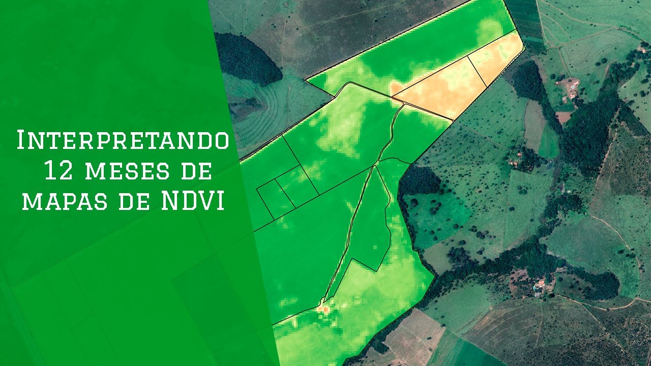 Como é Feita a Interpretação do Inicio ao Fim de um Mapa NDVI de uma Lavoura