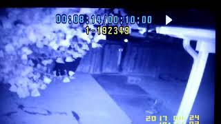 Drive By Shooting, Pueblo Colorado