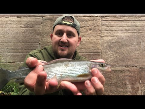 River Dove, trying to catch my 1st ever grayling