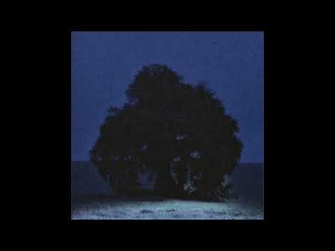 [ FREE ] Népal x 75e Session type beat - "caméléon" (prod.nausaah)