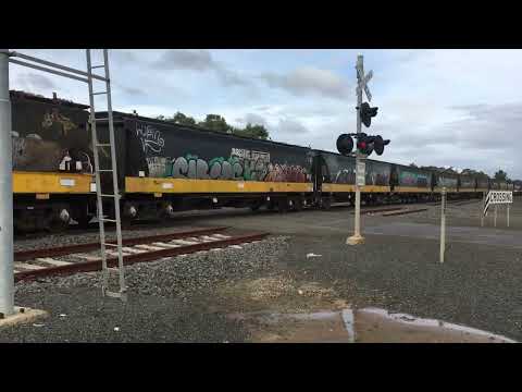 Up Broad Gauge Pacific National Grain Train At Meredith