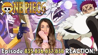 The New Gen Of Pirates One Piece Ep 387 392 Reaction موسيقى مجانية Mp3
