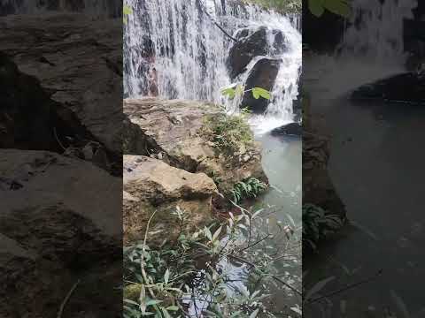 Som de Cachoeira: A paz da Mata Virgem em Goiás 🌿💦 #natureza