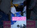Anak Gadis 4mpe Nangiz Dibenerin Ma Paraji Pijit Urut Tradisional Otot2 Bermasalah Fypdong Viral