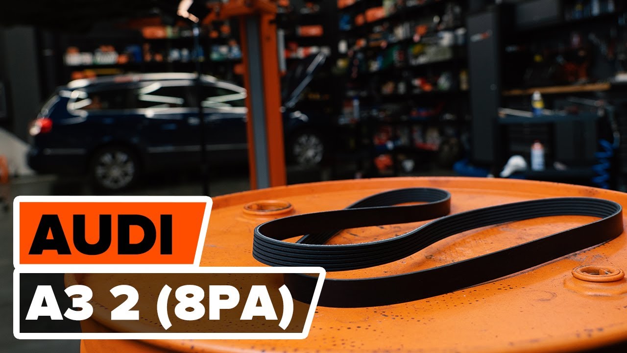 Como mudar correia trapezoidal estriada em Audi A3 8PA - guia de substituição
