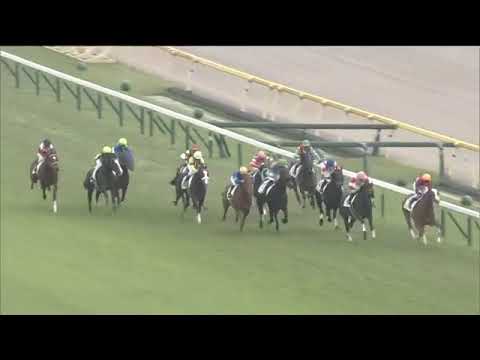 2019.11.03 2yo Newcomer (JPN) - Satono Fujin