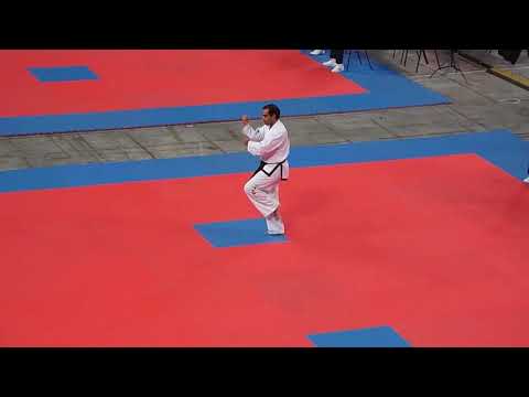 Amrith Armstrong (SWE) v Leon McSherry (IRL) -  Male V Dan patterns