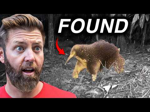 5 Extinct Animals Found in the Last 15 Years