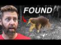 5 Extinct Animals Found In The Last 15 Years