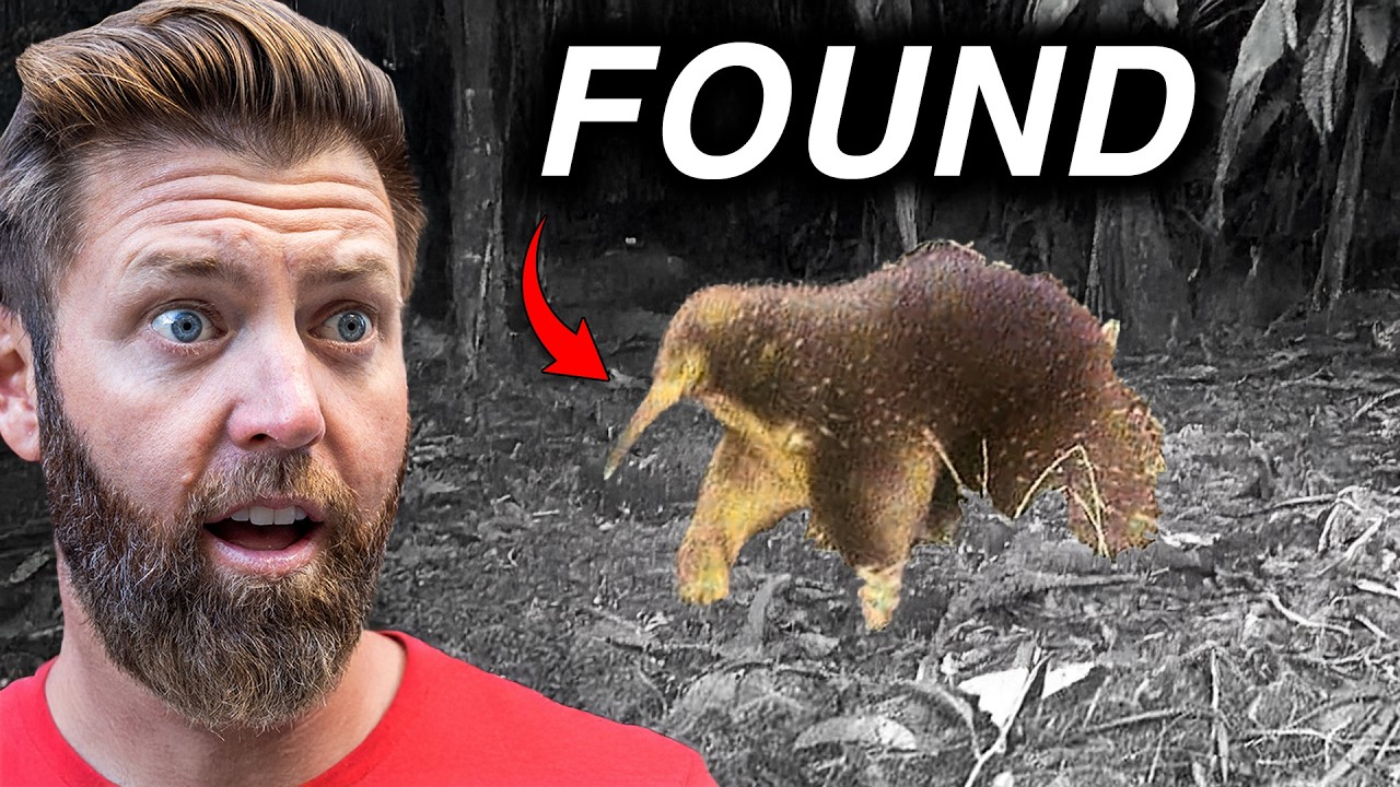 5 Extinct Animals Found in the Last 15 Years
