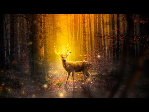 Musica para Estudiar y Concentrarse ☯ Musica Relajante para Trabajar, Leer y Memorizar Rapido