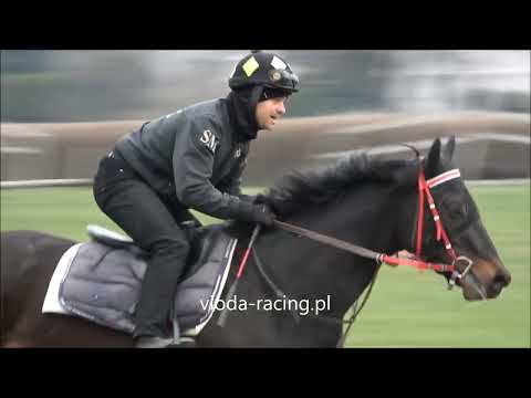 Lis - Tor Służewiec, Warszawa, 30.03.2023