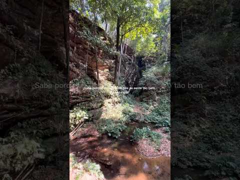 Cachoeira 3 Marias, em Nova Colinas, Maranhão . A água cristalina, o ambiente super organizado