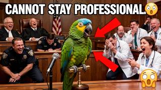 No Professional Could Survive This Parrot 🦜