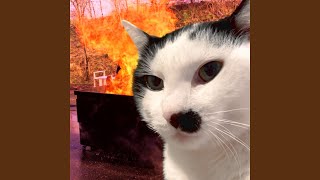 Cover art for boogercore