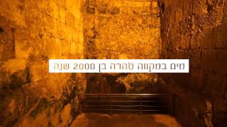 מאחורי הקלעים