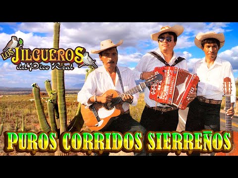 Los Jilgueros Del Pico Real - La Mejor Coleccion De Corridos (Album Completo)