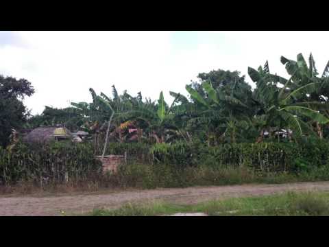 Gran Club Coral, Santa Lucia Cuba, 3-10 déc. 2015