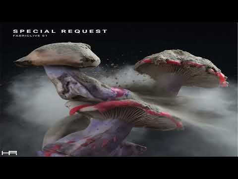 FABRICLIVE. 91 - Special Request (2017) [Continuous Mix]