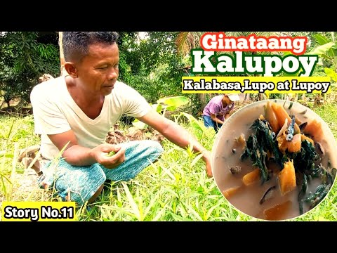 Ginataang "Kalupoy" || Kalabasa at Lupo,na may Lupoy || Life in Bukidnon Province
