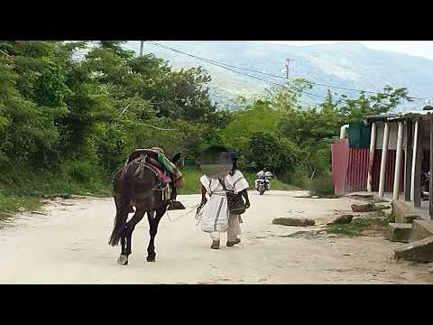 VILLANUEVERA, Rafael Orozco - Music For VILLANUEVA LA GUAJIRA