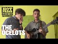 The Ocelots – Give Me a Kiss (Van Morrison Cover) #RaveOnVanMorrison