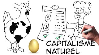 Pourquoi le capital naturel est la responsabilité des entreprises