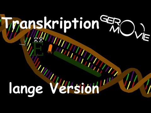Transkription Biologie GeroMovie (lange Version)