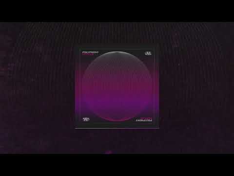 Potillo - Polyphony (Sample Library) | soundcooler.co