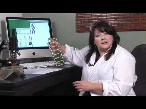 Adenine Sulfate Powder