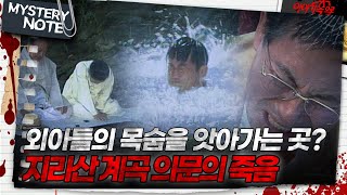 Download lagu [Mystery Note] A Place That Takes the Life of an Only Son? The Mysterious Death in Jirisan Valley... mp3