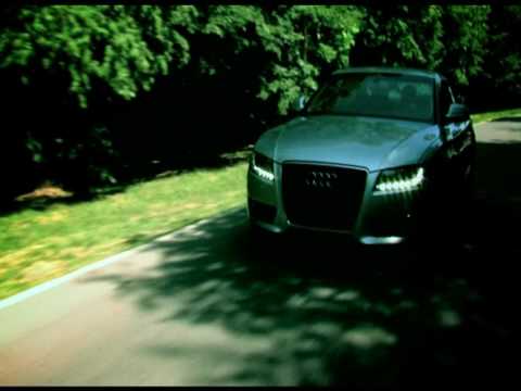 PERO STEFANOVIC TROCADERO-CRNI BISER