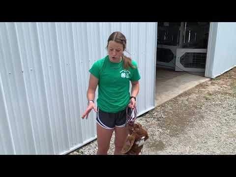 Buchanan County Fair 2022: Samantha Yexley Interview