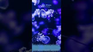 Miniature YouTube : Sea Blues | Ambiance Méditative & Apaisante par Soochrys (592de5)