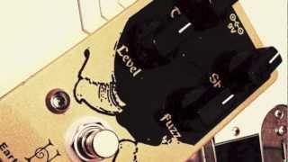 Video Video