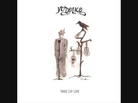 Shadow Boxing - Yodelice