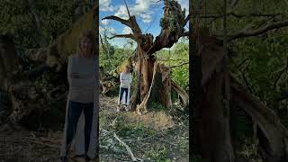 A Tornado Almost Killed Jase Robertson's Son!
