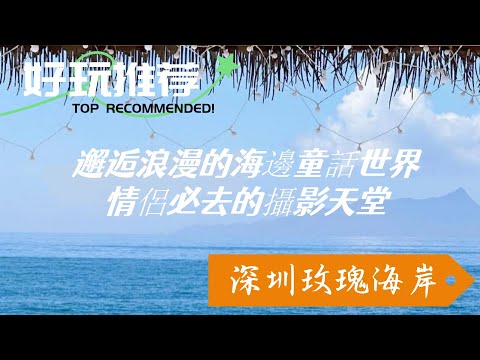 深圳玫瑰海岸真實測評！藍眼淚奇觀 + 婚紗攝影基地 + 隱藏礁石羣，附停車指南 + 避坑全攻略！🌊📸#深圳旅行 #深圳海邊 #深圳週邊遊 #深圳攻略 #深圳沙灘