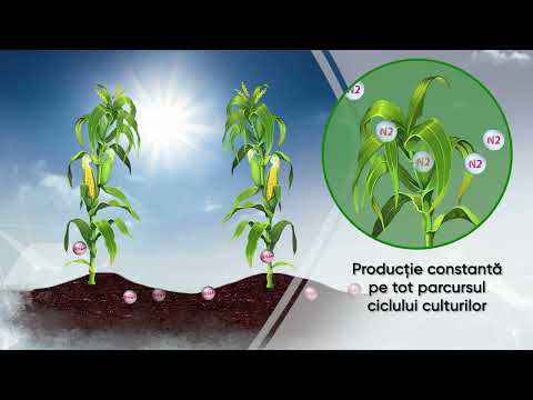 Utrisha N - Producții constante